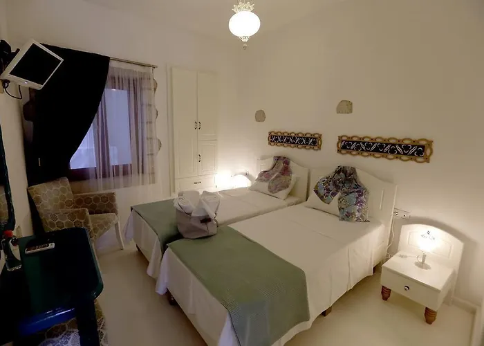 Lodos Guest house 4*