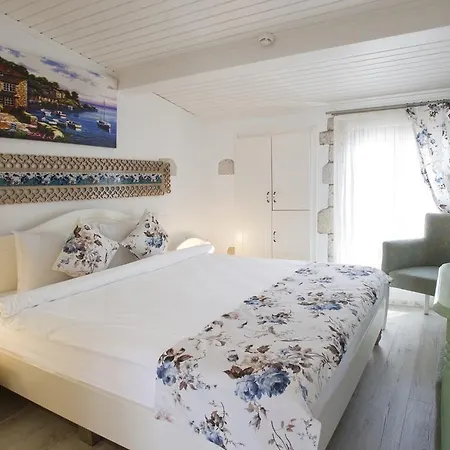 招待所 Lodos 阿拉恰特