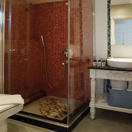 招待所 Lodos 阿拉恰特