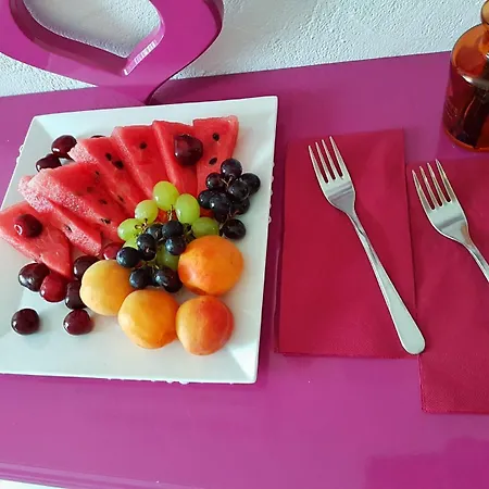 招待所 Lodos 阿拉恰特