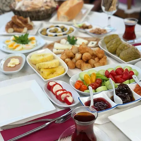 Lodos 招待所 阿拉恰特